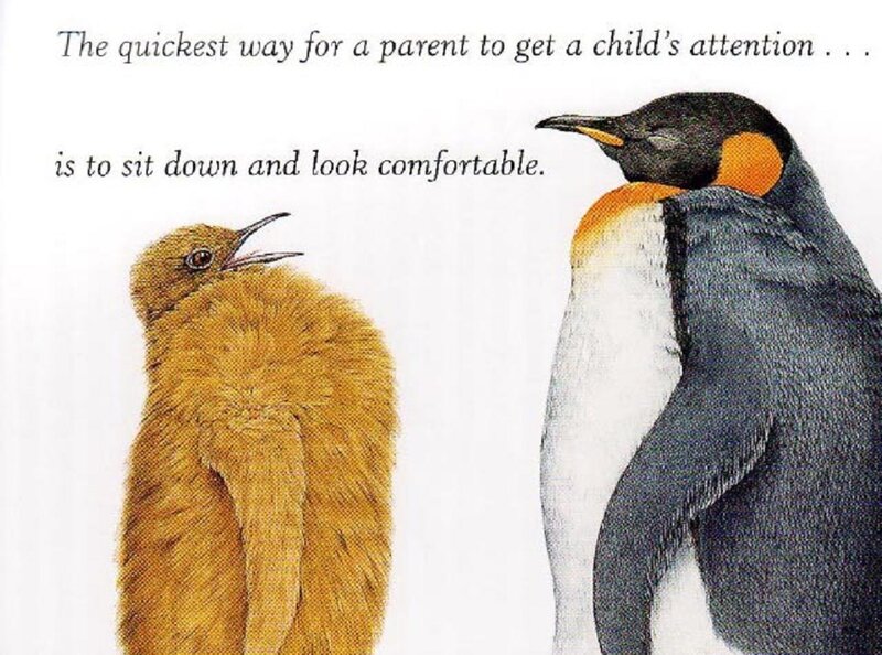 Penguin Chick and Adult — Yellow