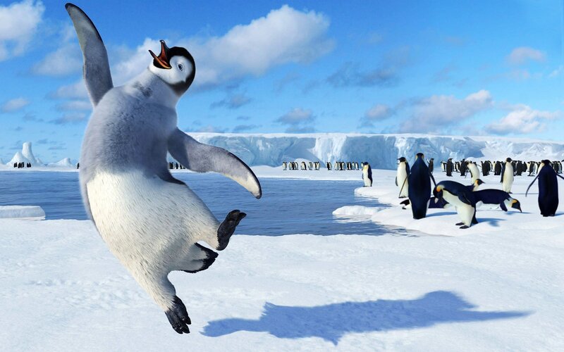 Penguin Chick Jumping