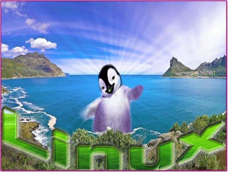 Penguin Chick on Cliff