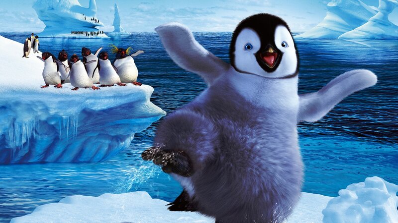 Penguin chick on ice