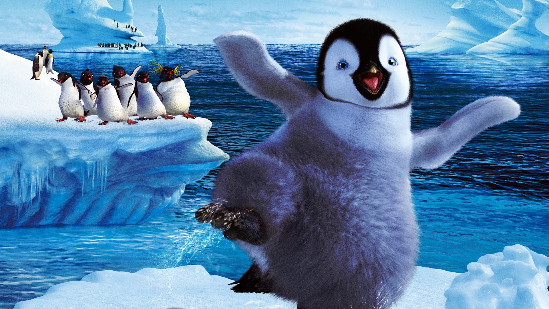 Penguin chick on ice