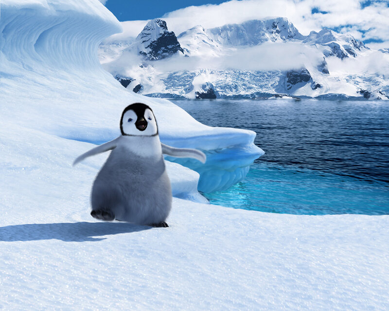 Penguin Chick on Ice — White, Cold, Serene