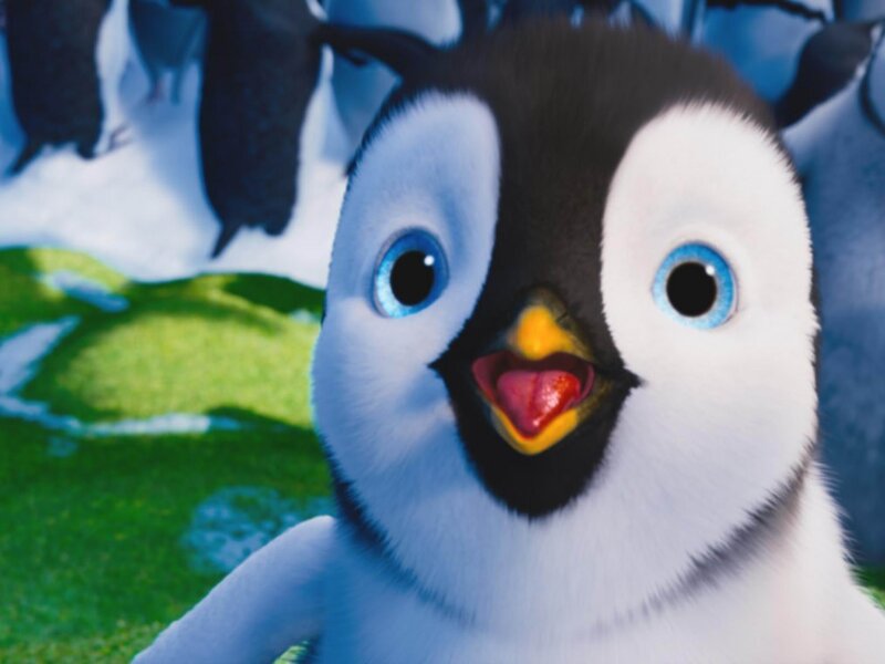 Penguin Chick — White, Playful