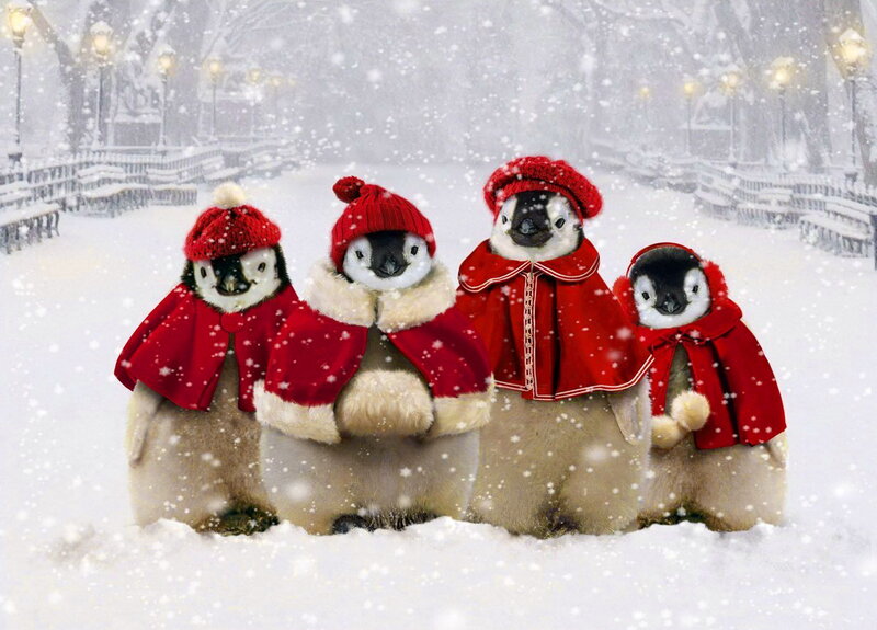 Penguin Chicks in Snow — Red