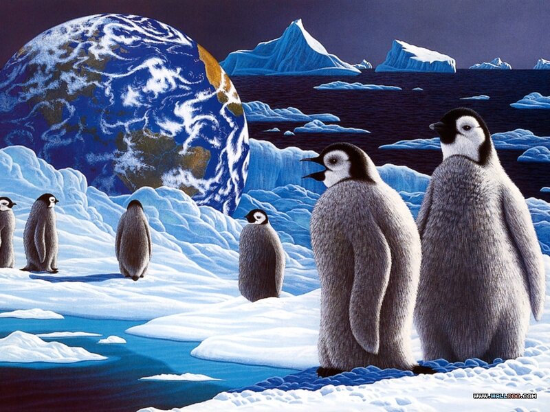Penguin Chicks on Ice — Blue