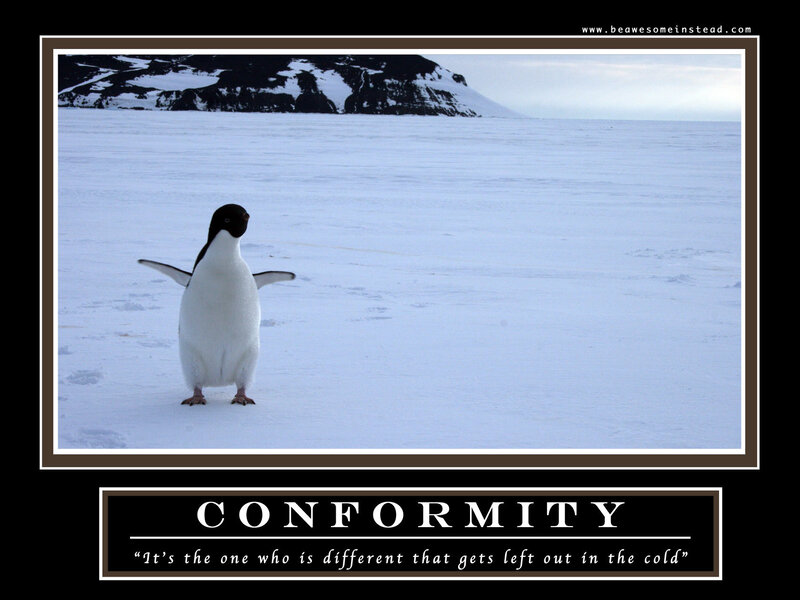 penguin conformity meme