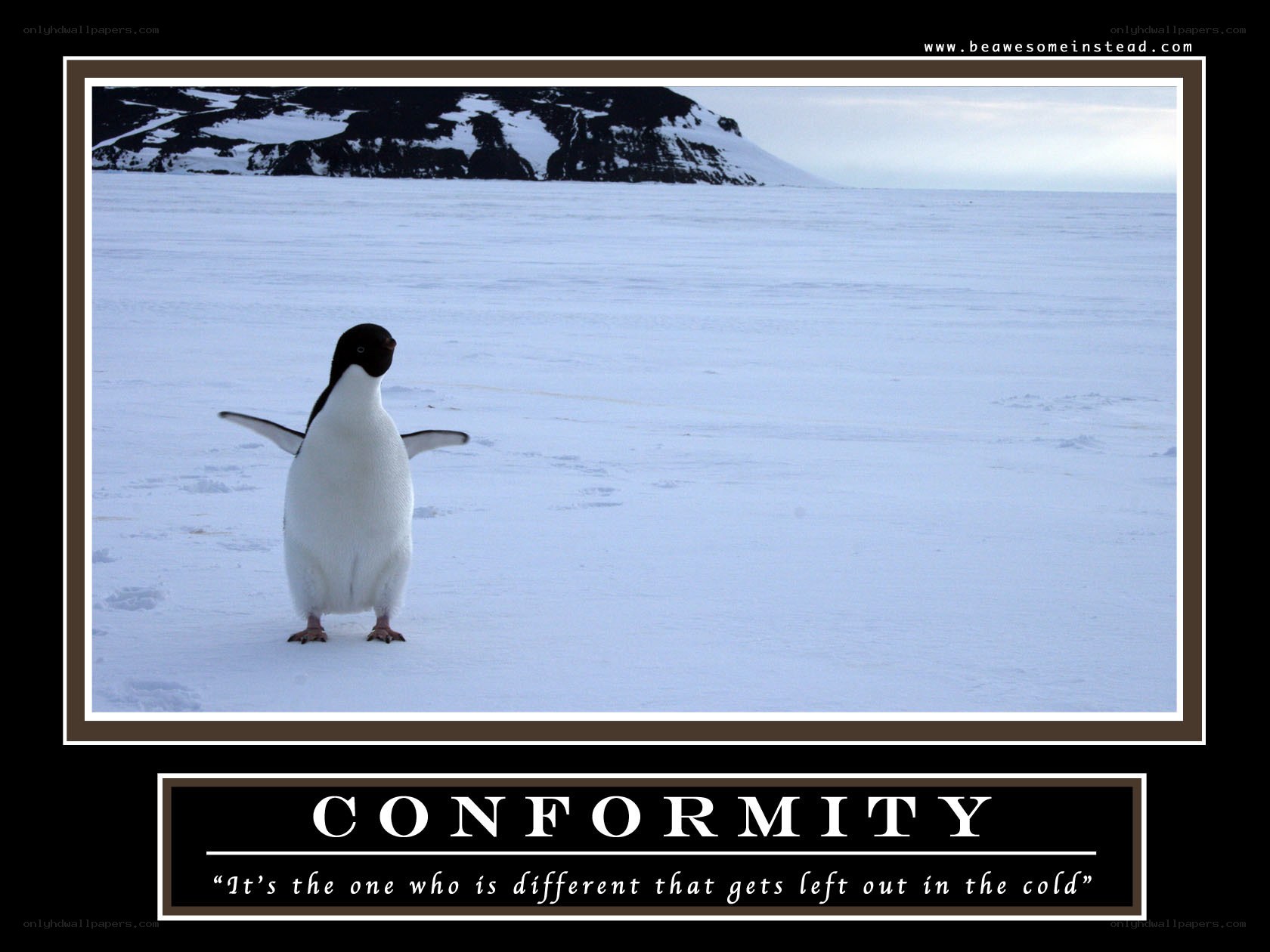 penguin conformity meme