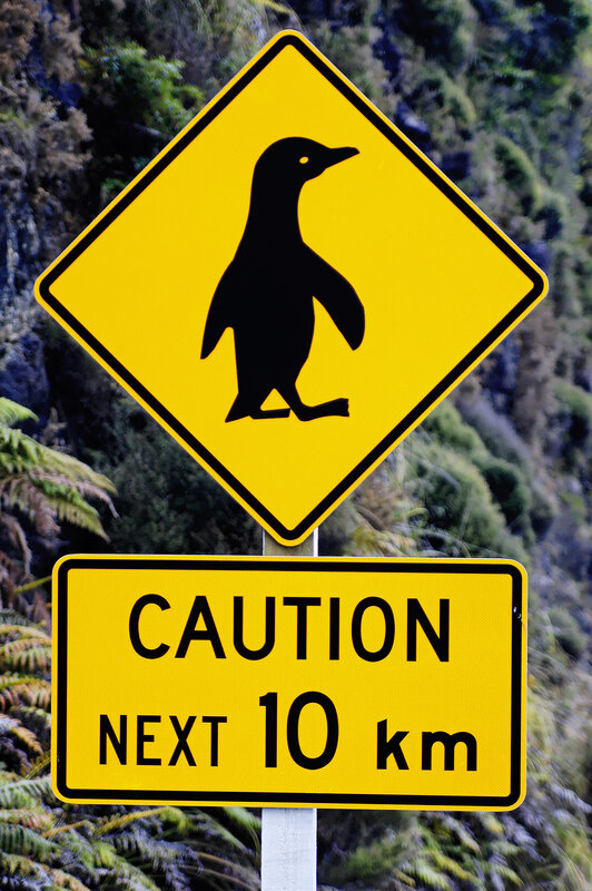 Penguin crossing sign