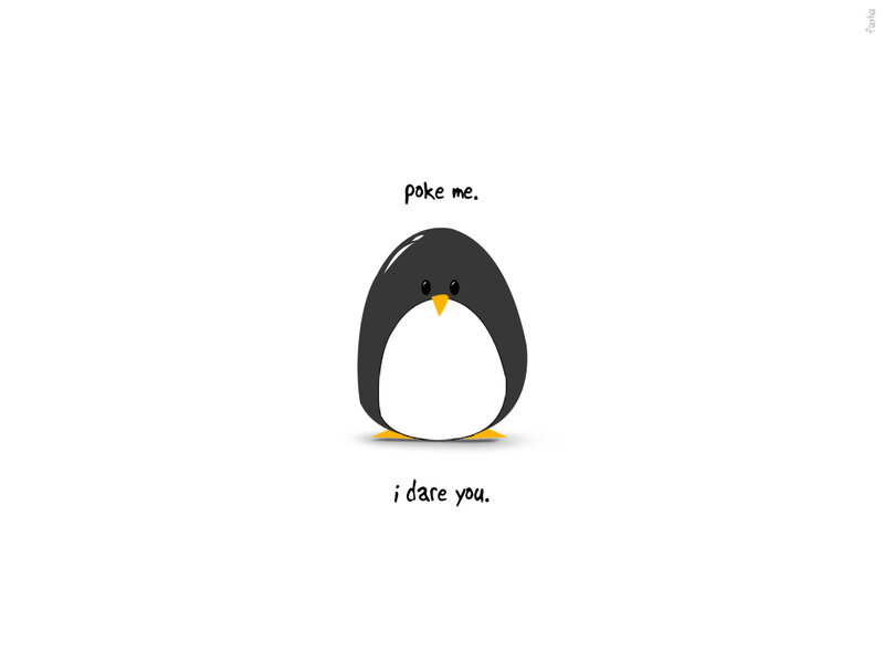 penguin dare meme