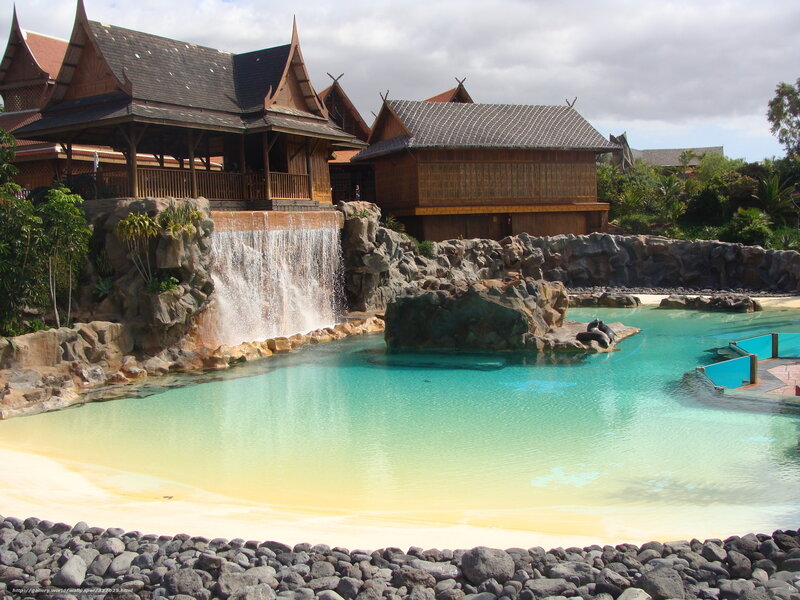 Penguin Enclosure