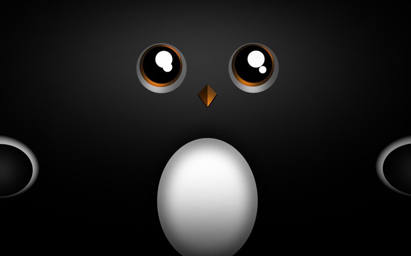 penguin face illustration