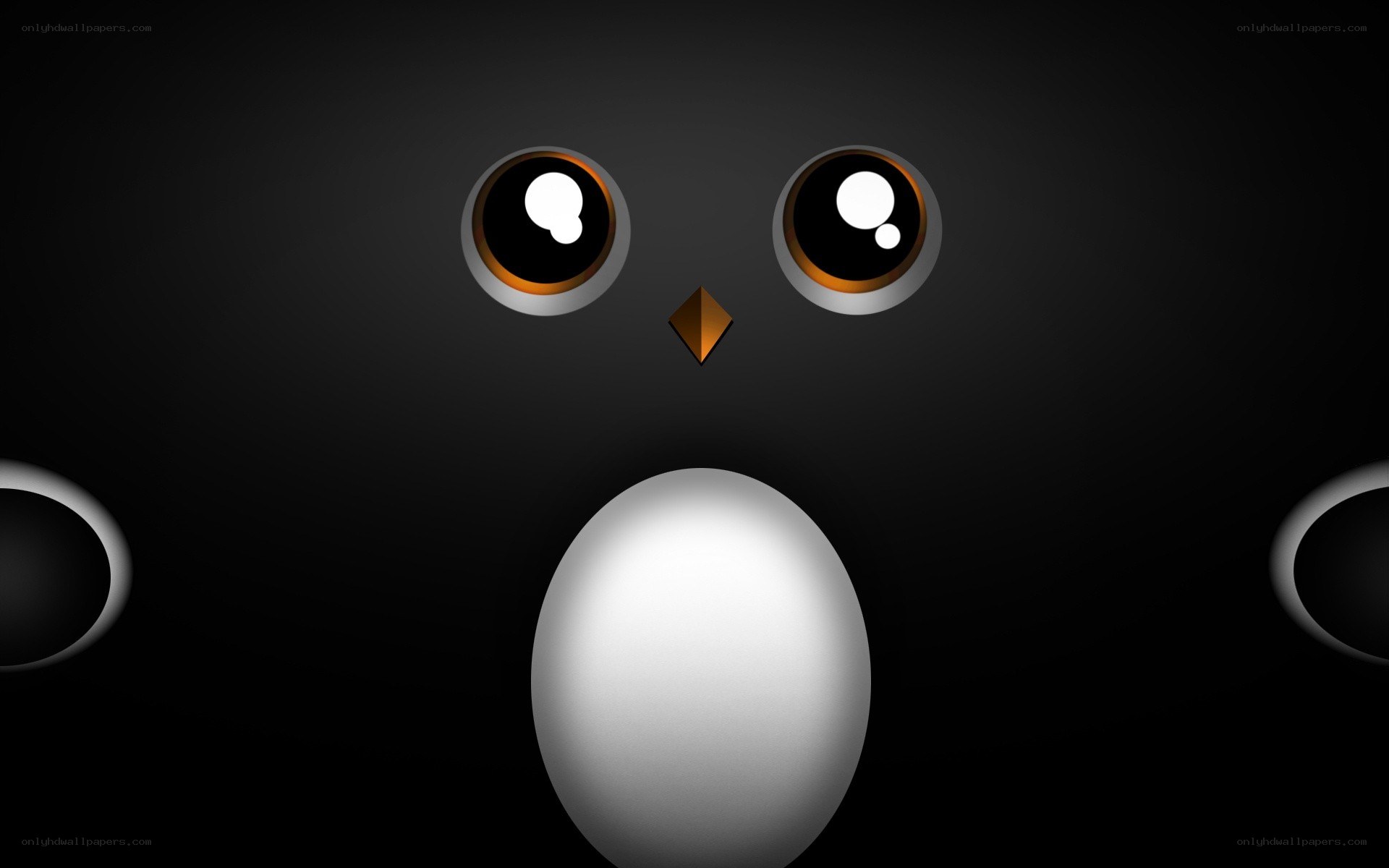 penguin face on black