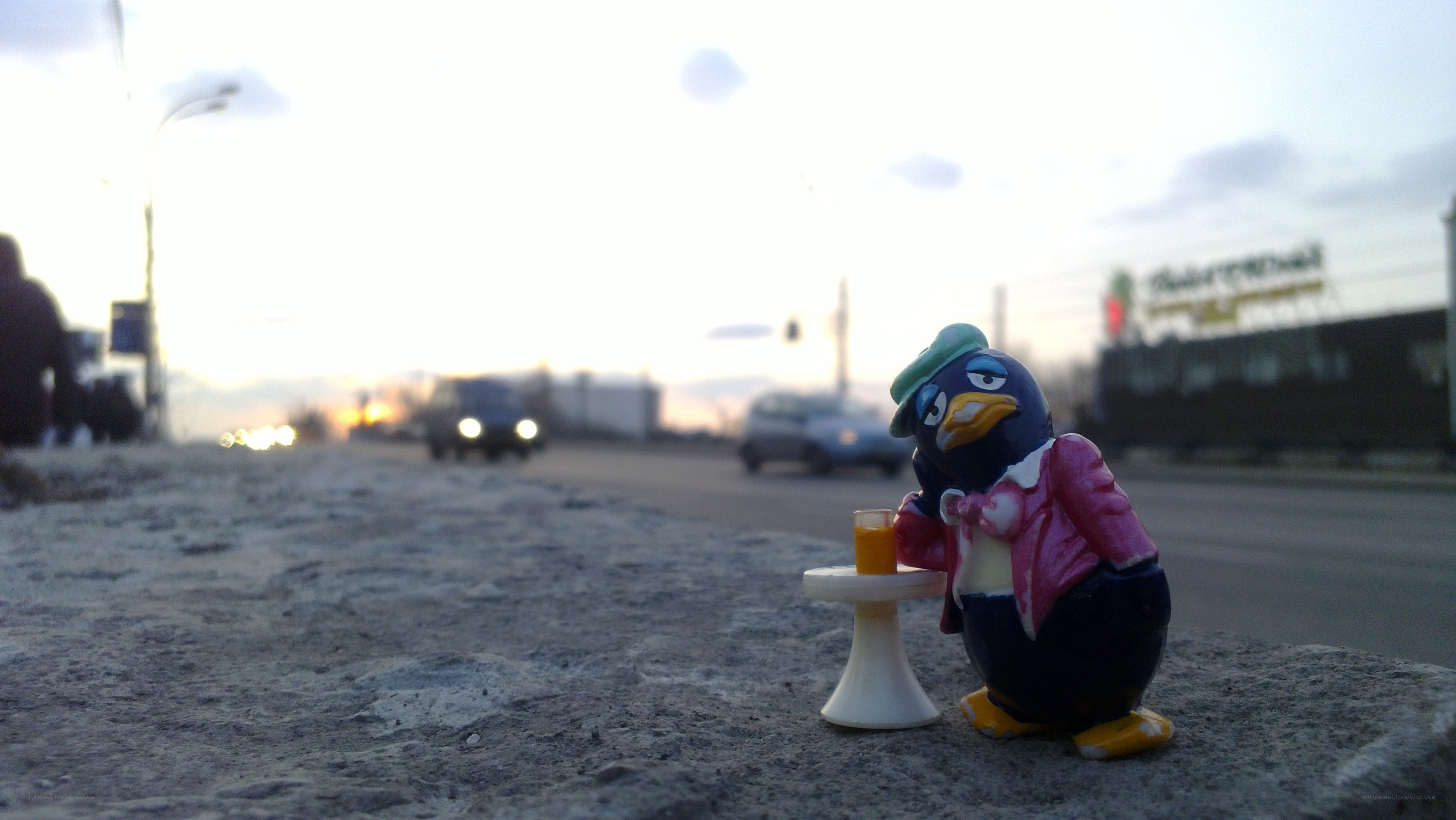 Penguin figurine on a curb