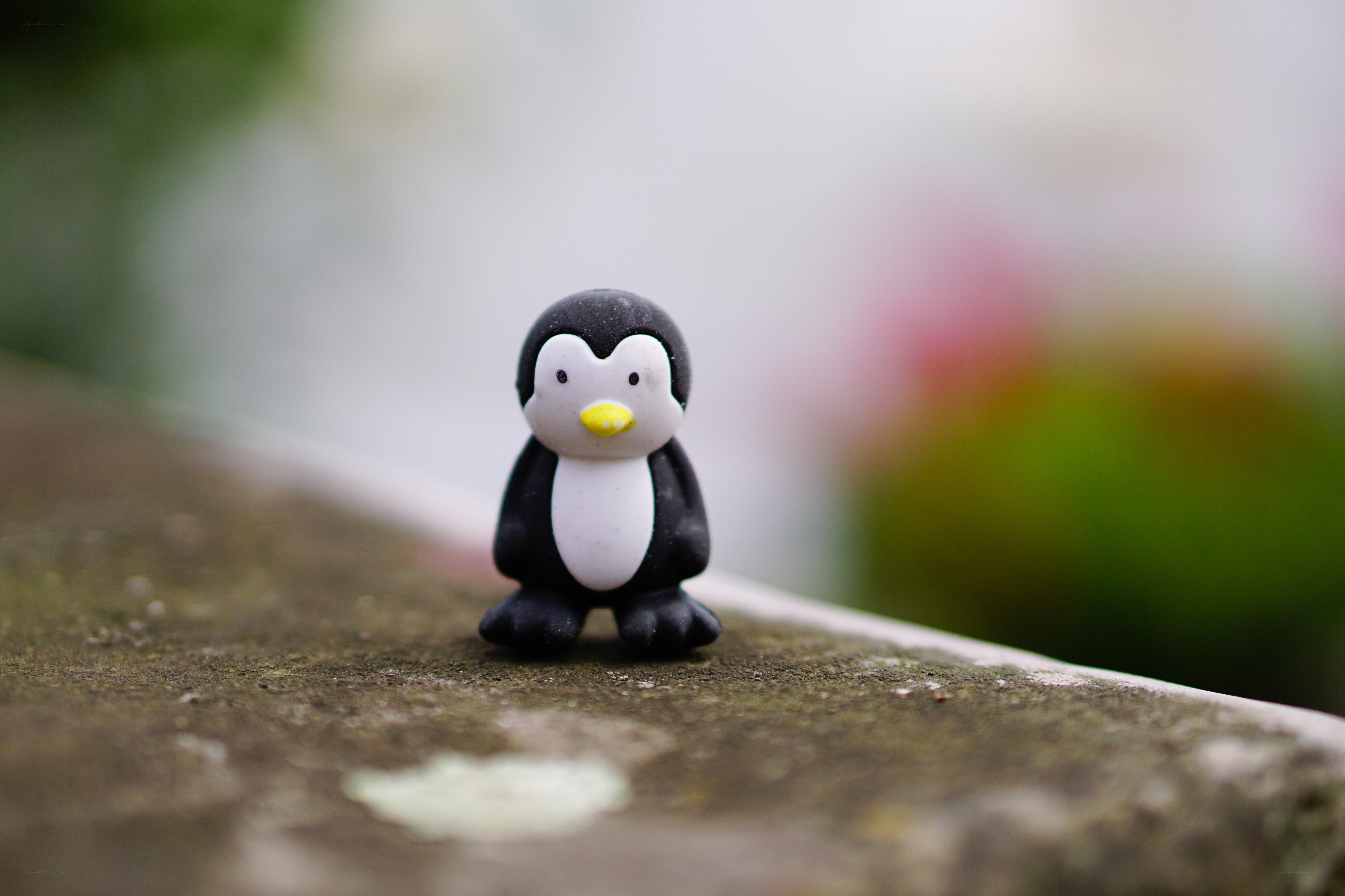 Penguin figurine on stone