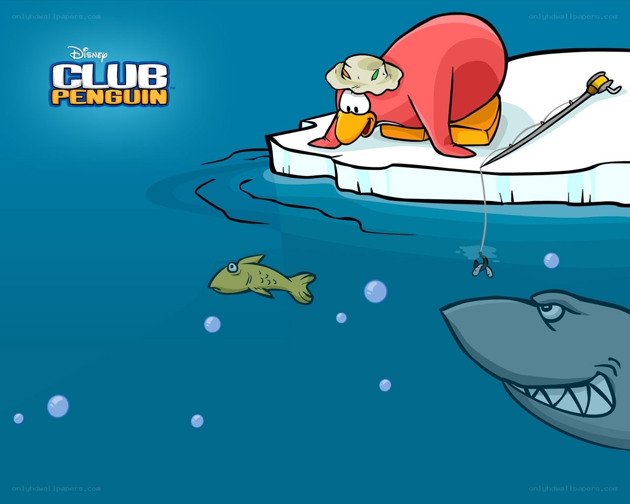 Penguin fishing on ice