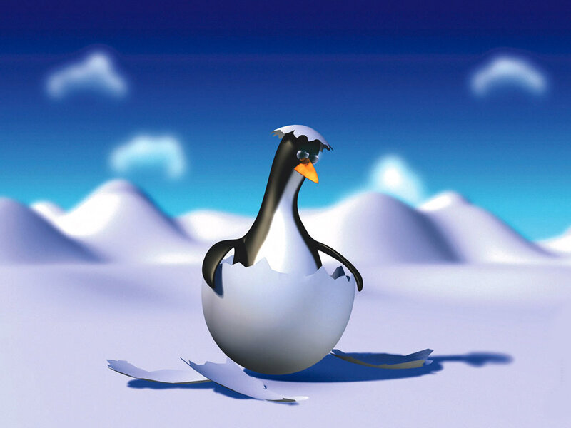 Penguin Hatching from Egg
