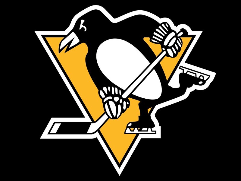 Penguin Hockey Player — Black, Bold, Vector Art