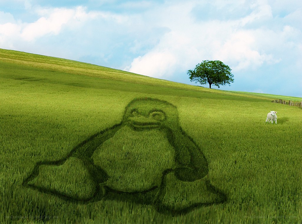 Penguin in a green field