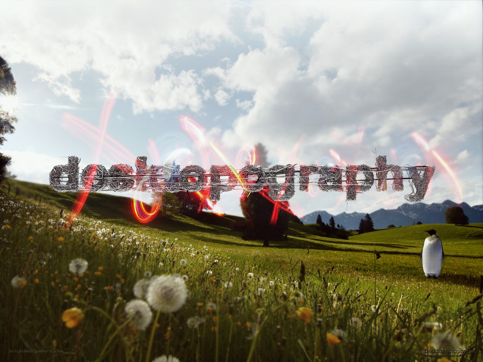 Penguin in a meadow with text