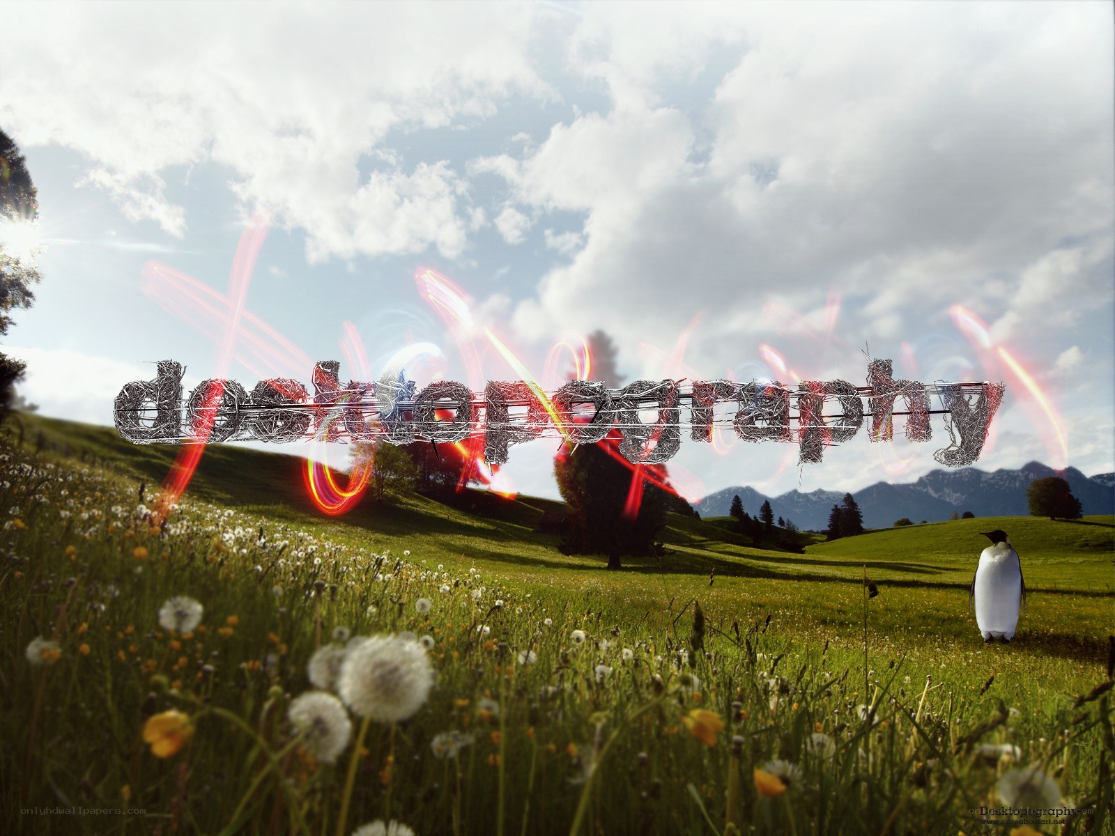 Penguin in a meadow with text