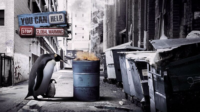Penguin in Alley