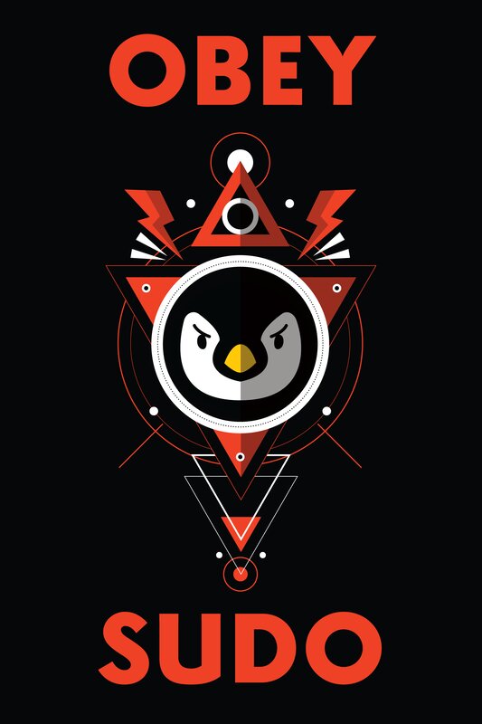 Penguin in Geometric Design