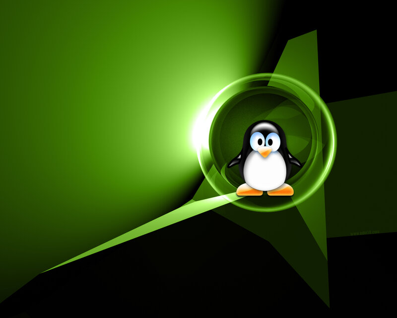 penguin in green circle