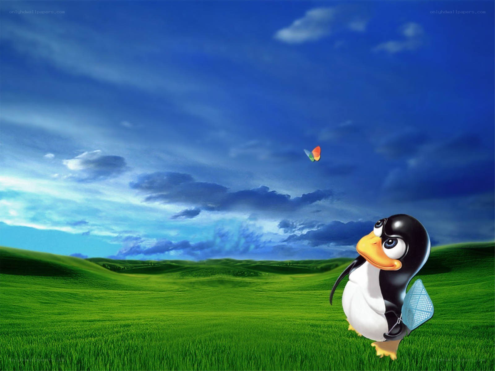 penguin in green field