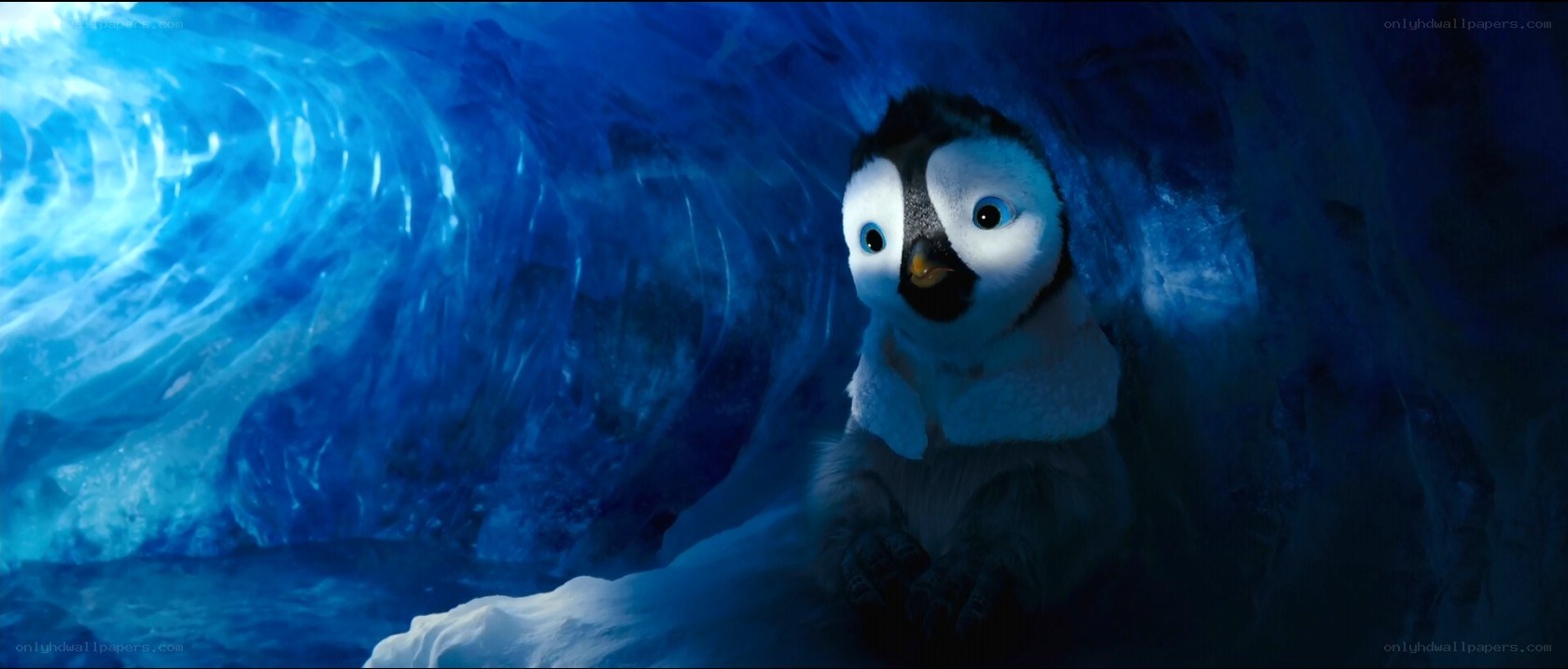 penguin in ice cave