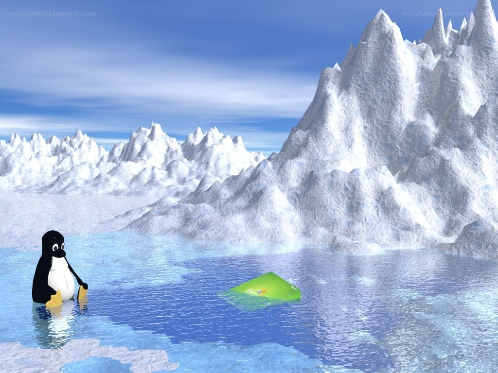 Penguin in icy landscape