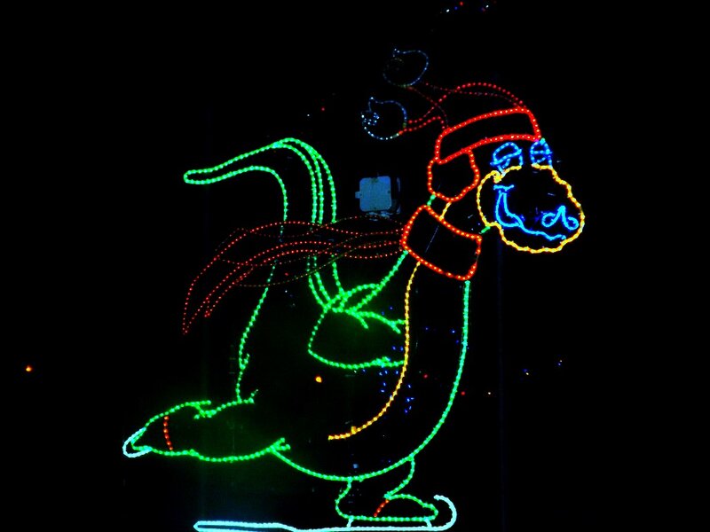 Penguin in Lights