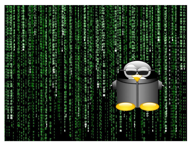 Penguin in Matrix style