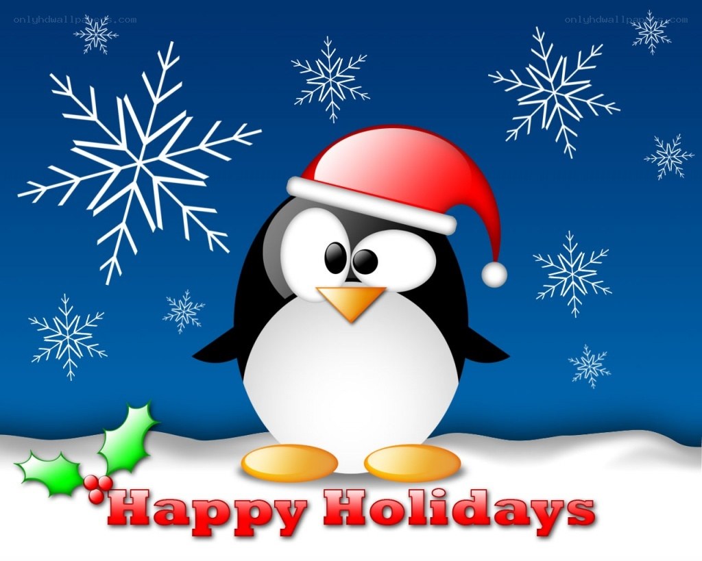 Penguin in Santa hat