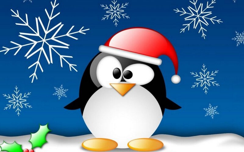 Penguin in Santa Hat — Blue, Festive, Winter