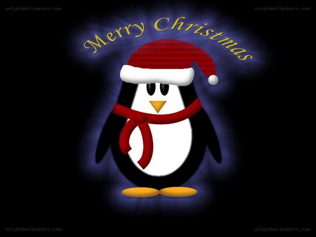 Penguin in Santa hat