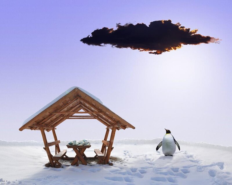 Penguin in Snow — White