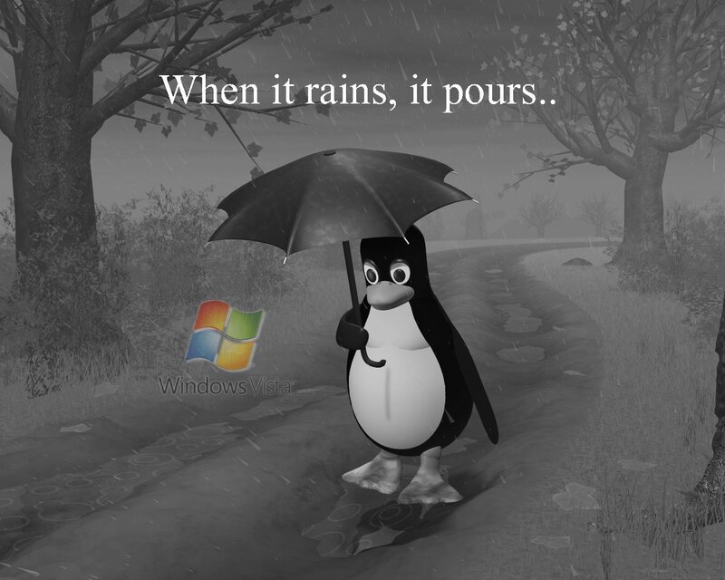 penguin in the rain