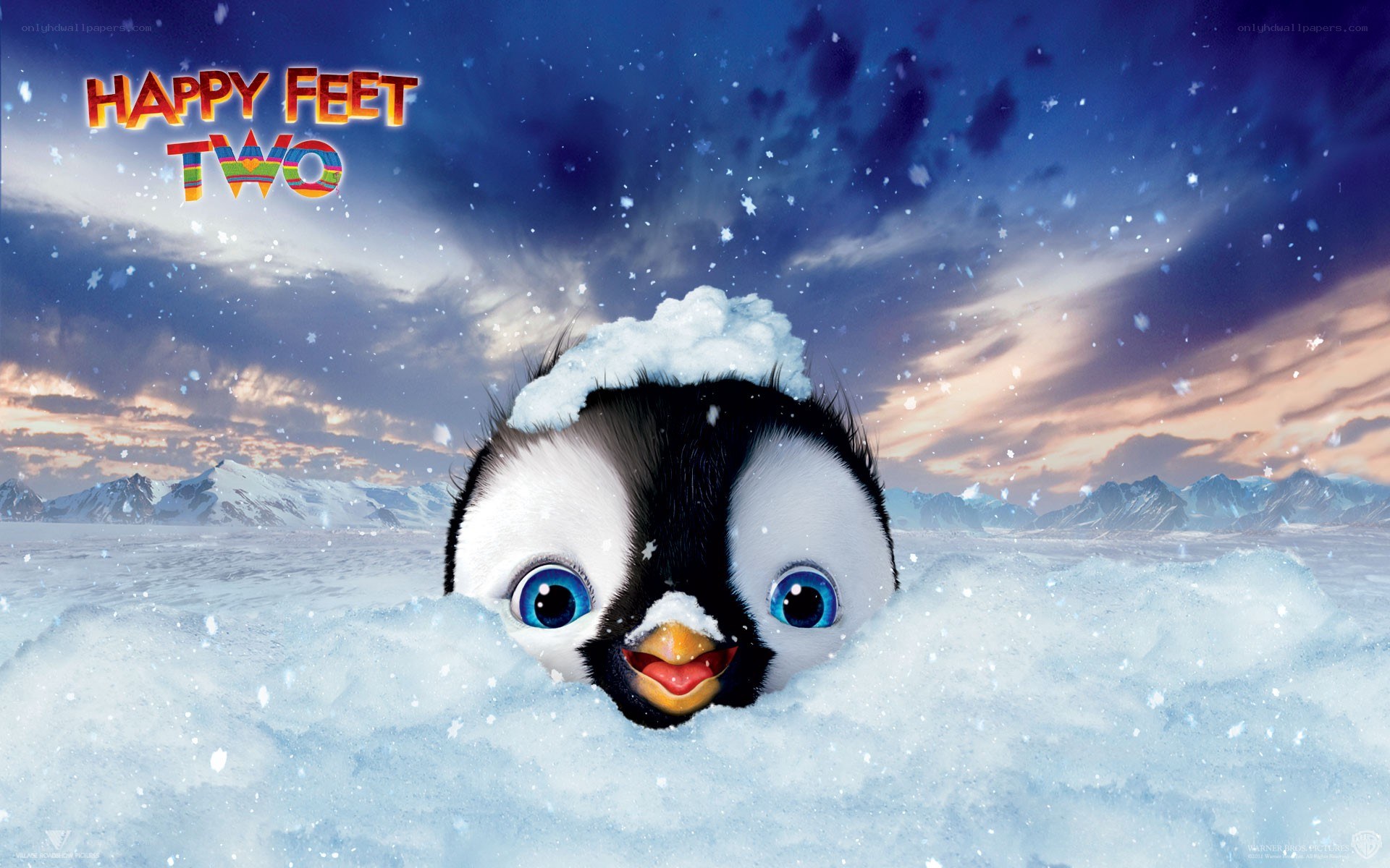 penguin in the snow