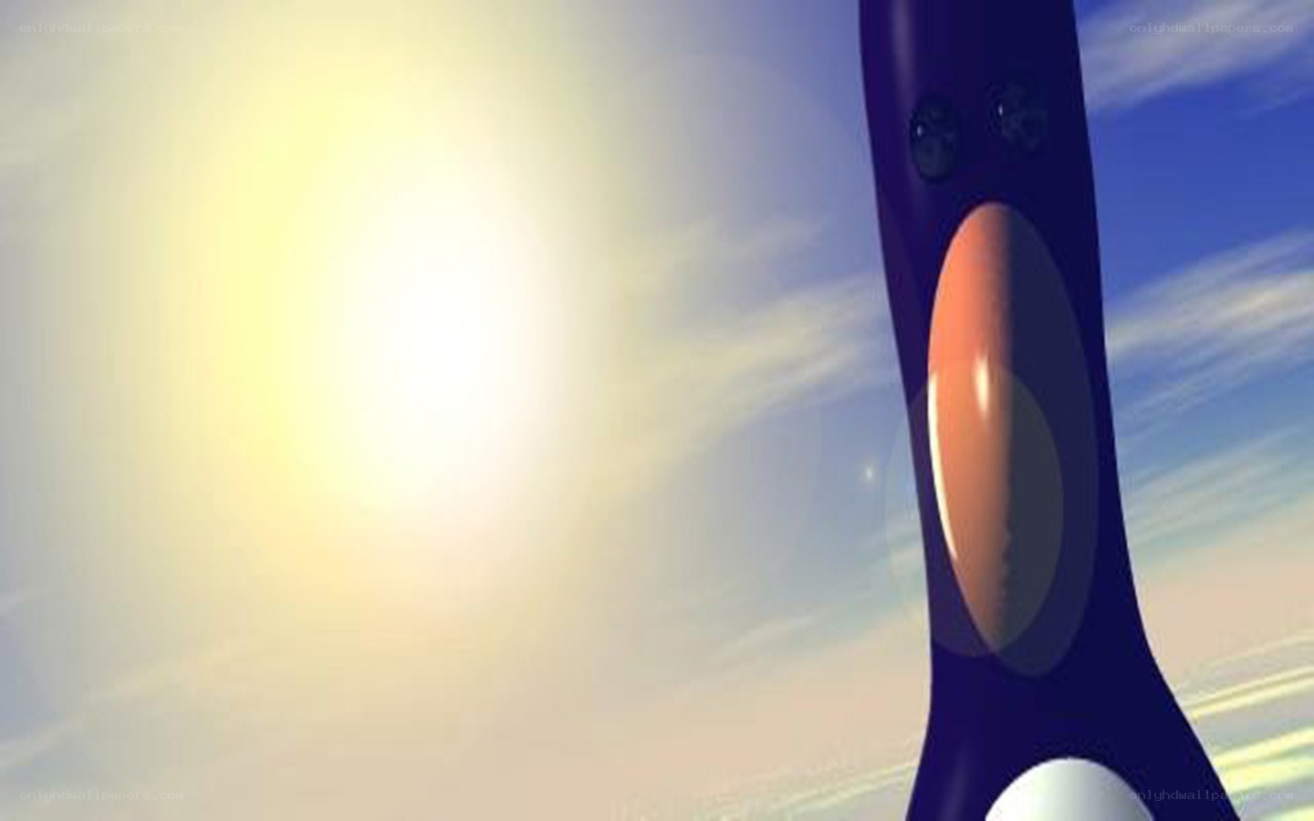 penguin in the sun