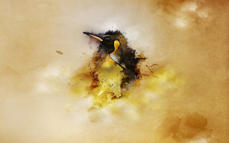 Penguin in Watercolor