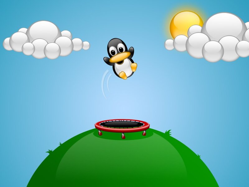penguin jumping on trampoline