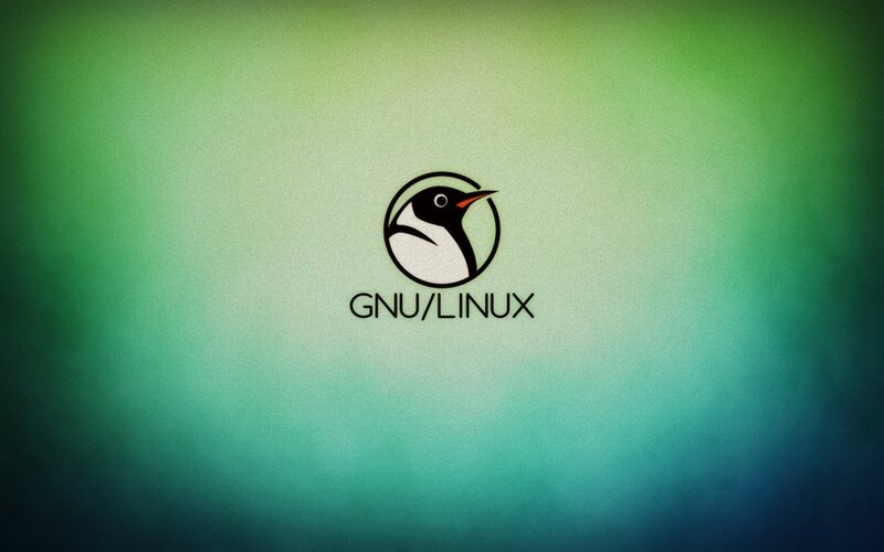 Penguin Logo — Green, Calm