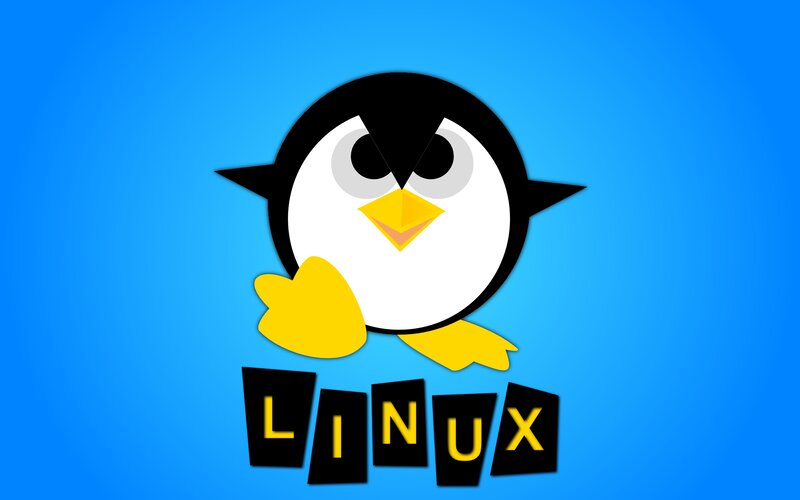 Penguin Mascot