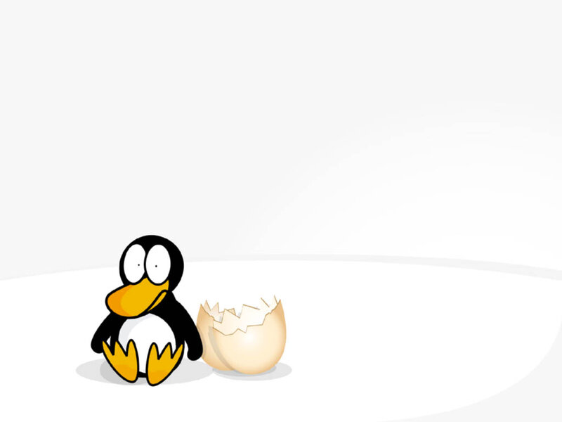 Penguin Next to Eggshell