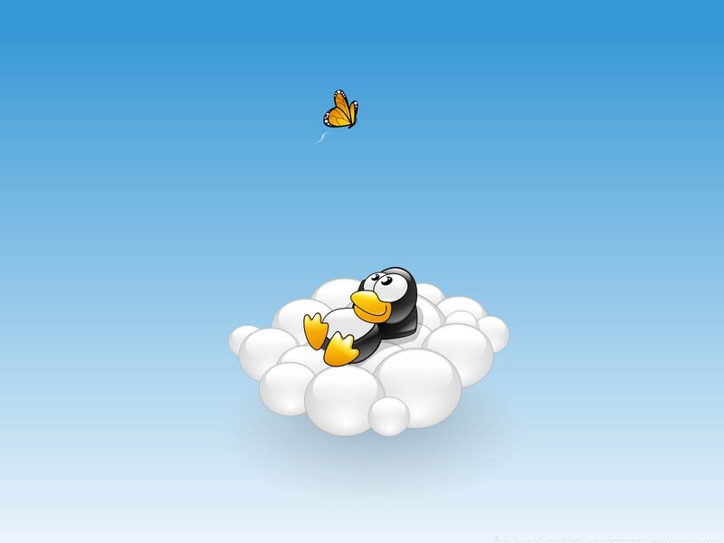 penguin on a cloud