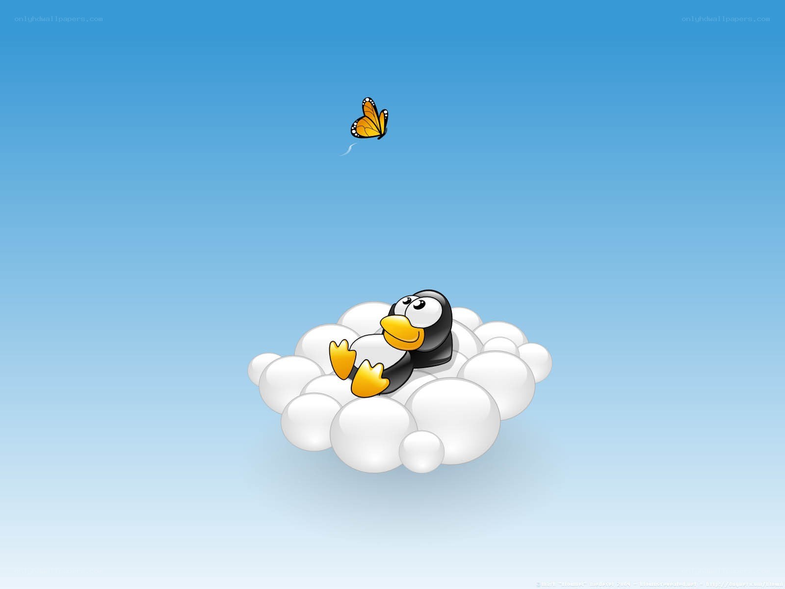 penguin on a cloud