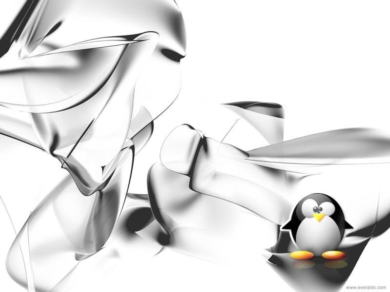 penguin on abstract background