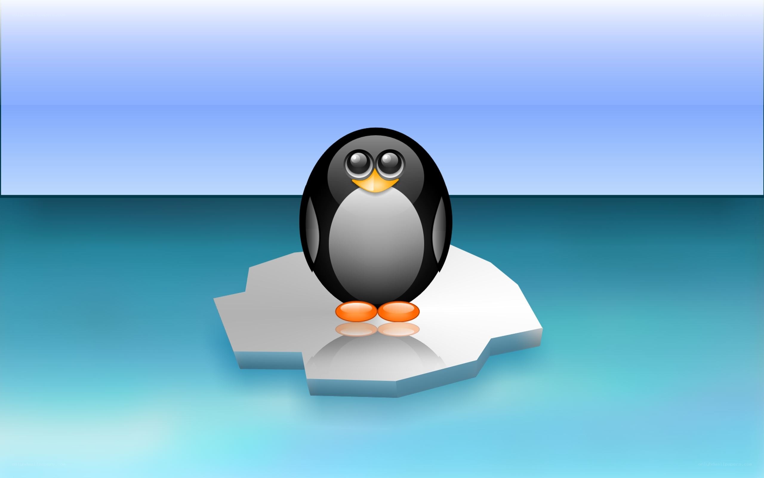 penguin on an ice floe