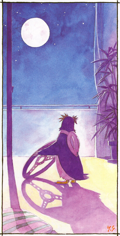 penguin on balcony at night