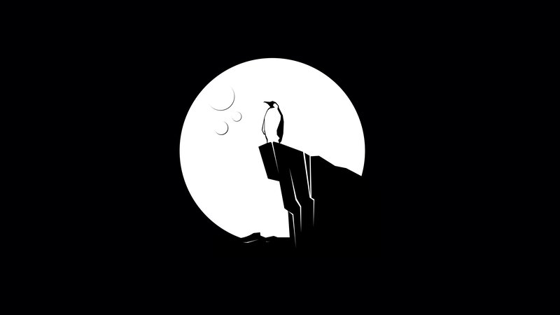 Penguin on Cliff